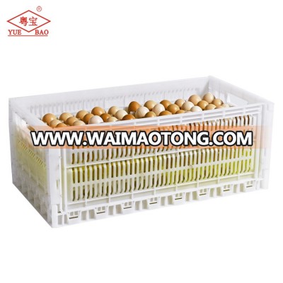 Collapsible poultry transport chicken storage plastic crate for logistic