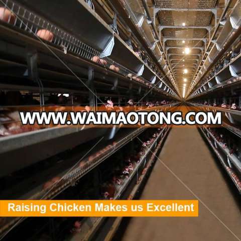 China Suppliers Chicken Farm Poultry Equipment in Thailand